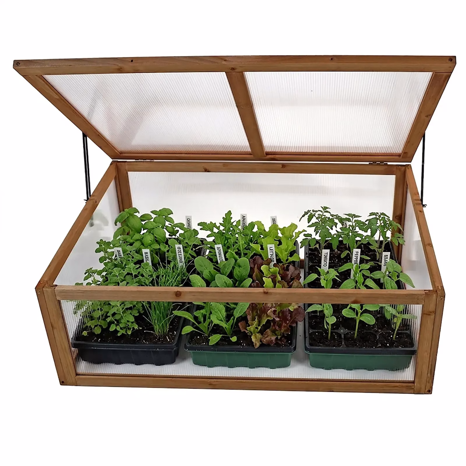 Compact Wooden Cold Frame 67291 - Image 7